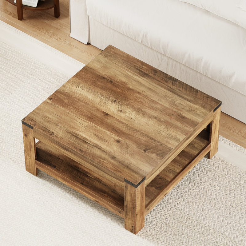 Millwood Pines Zara Square Coffee Table With 2-tier Storage